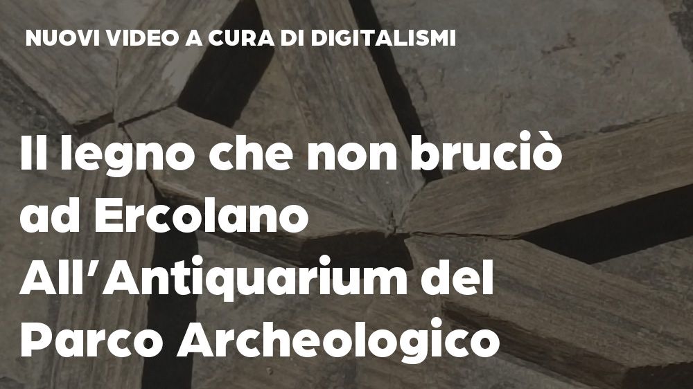 Antiquarium Ercolano video Digitalismi